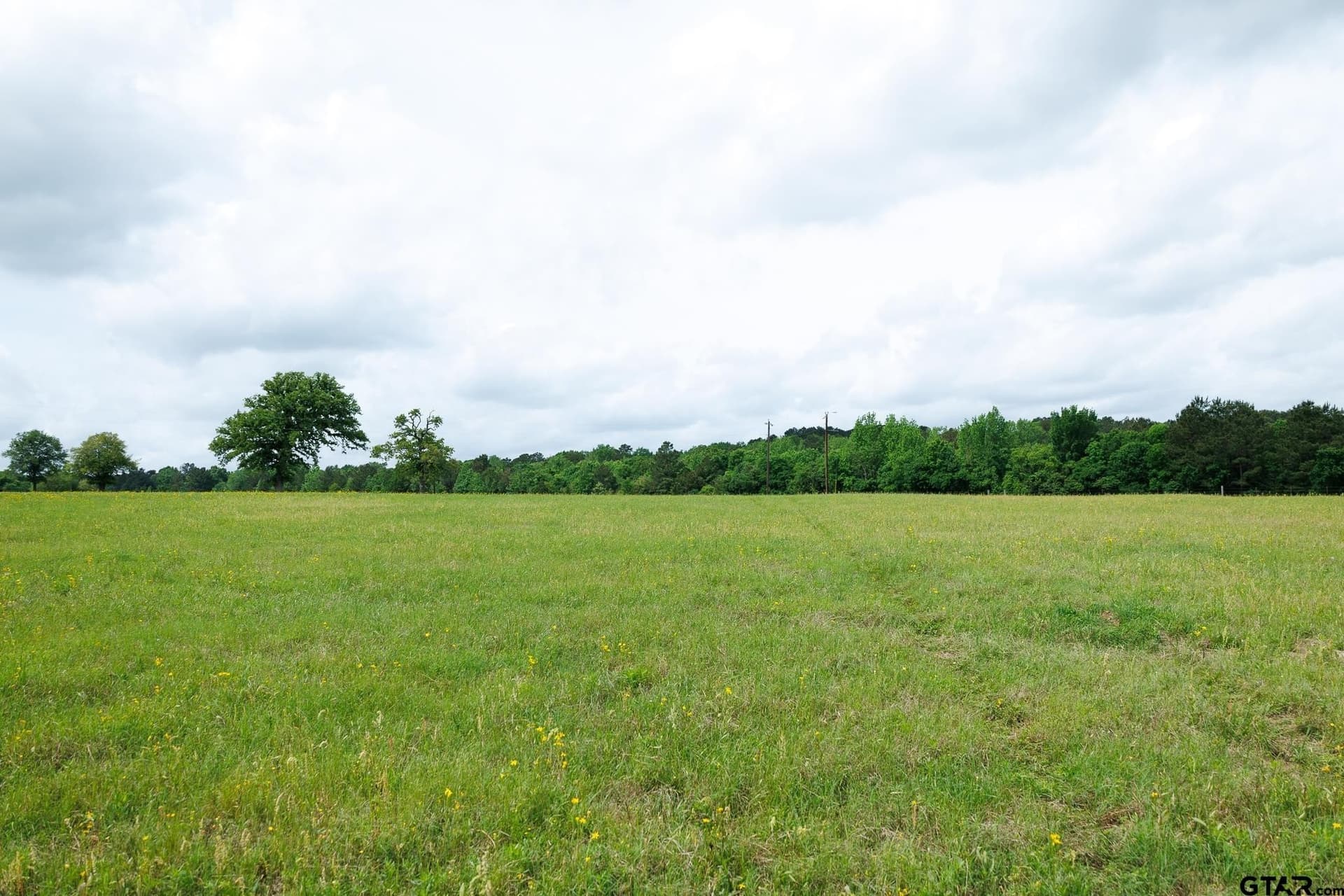 41.5 acres in Anderson County featured view