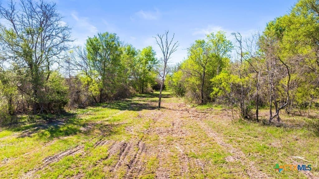 17.56 acres in Fayette County - photo 9