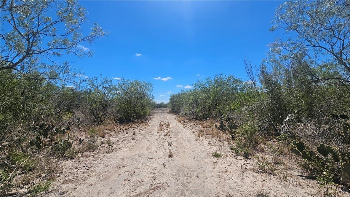 30.01 acres in Duval County gallery image 4