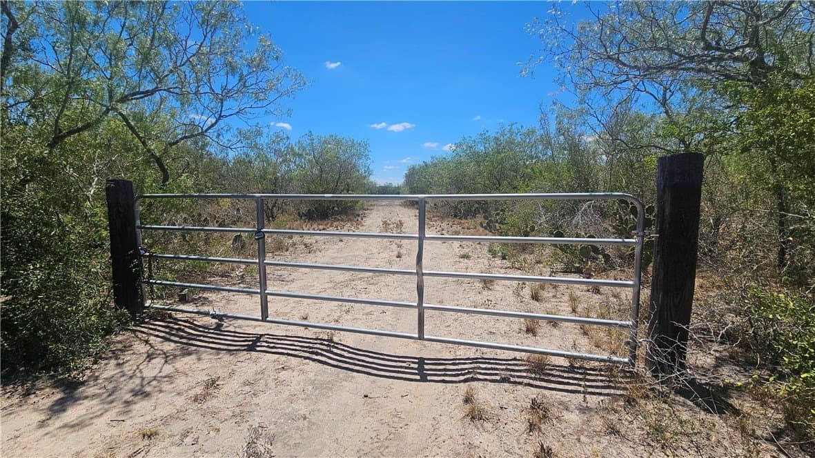 30.01 acres in Duval County gallery image 3