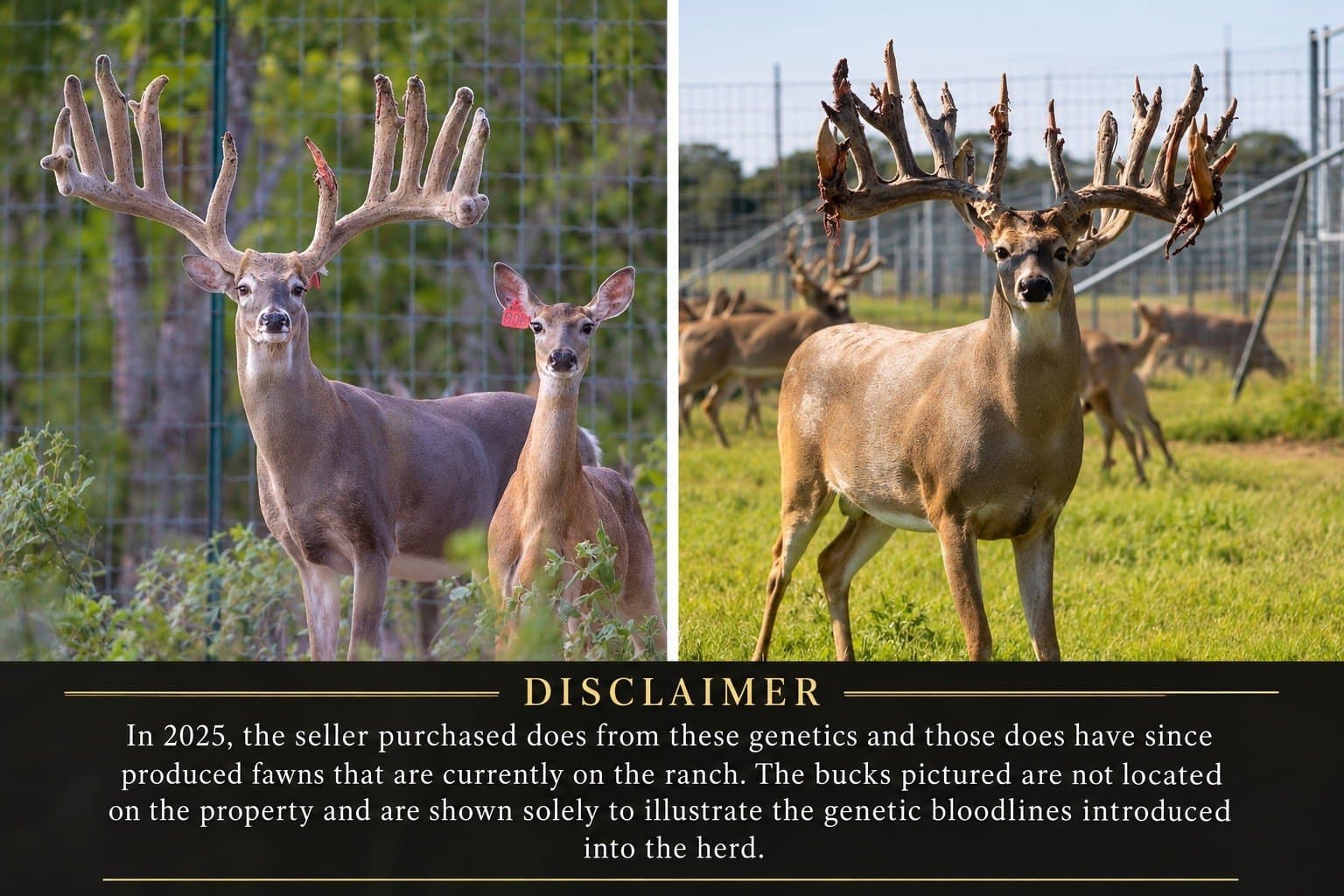 232.86 acres in Hamilton County - photo 2