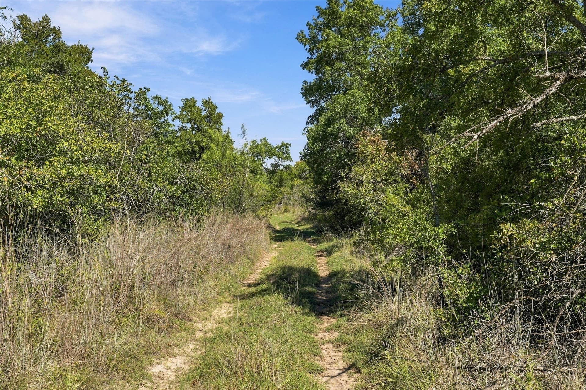 232.86 acres in Hamilton County - photo 28