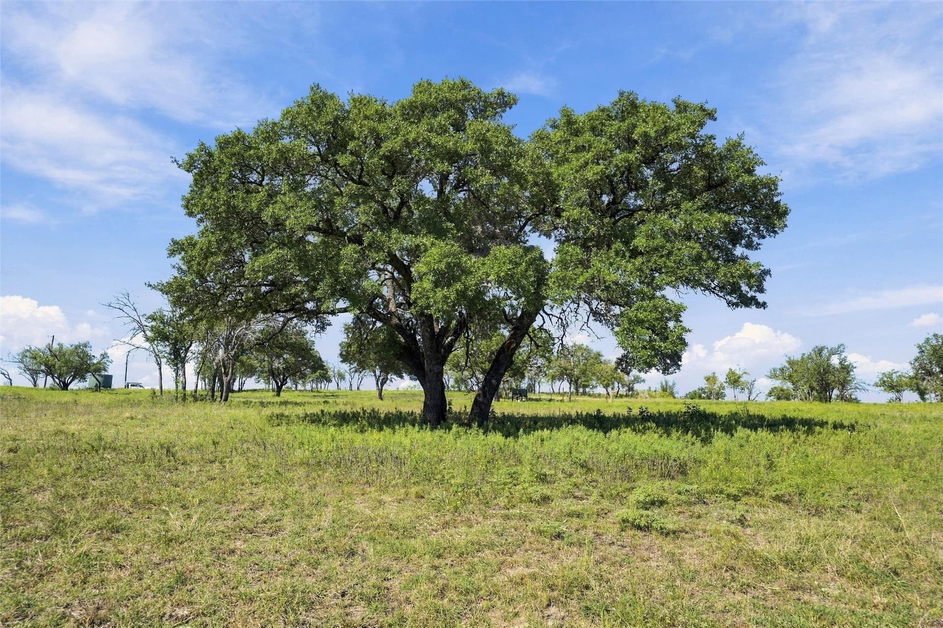 232.86 acres in Hamilton County - photo 27