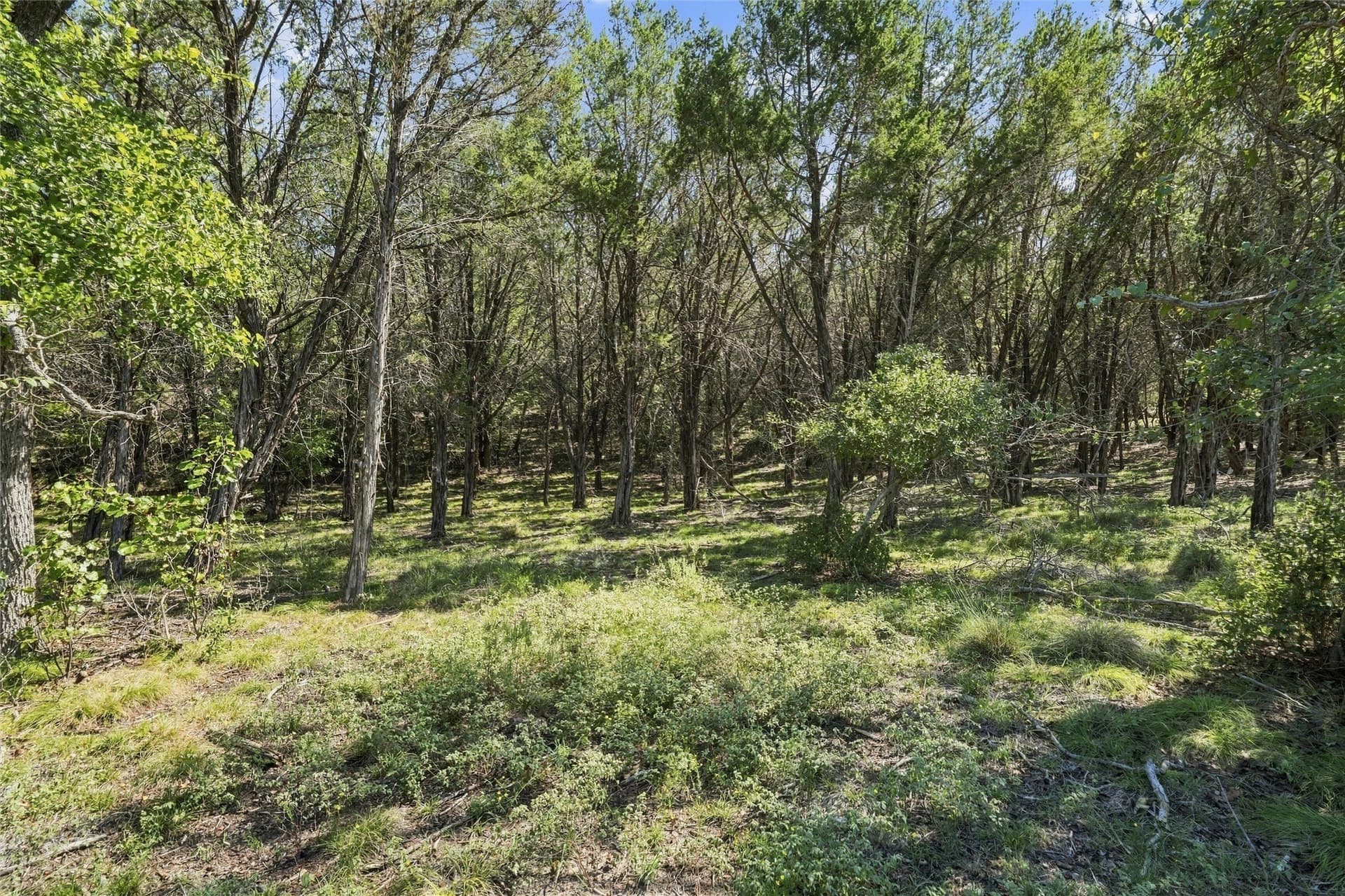 232.86 acres in Hamilton County - photo 29