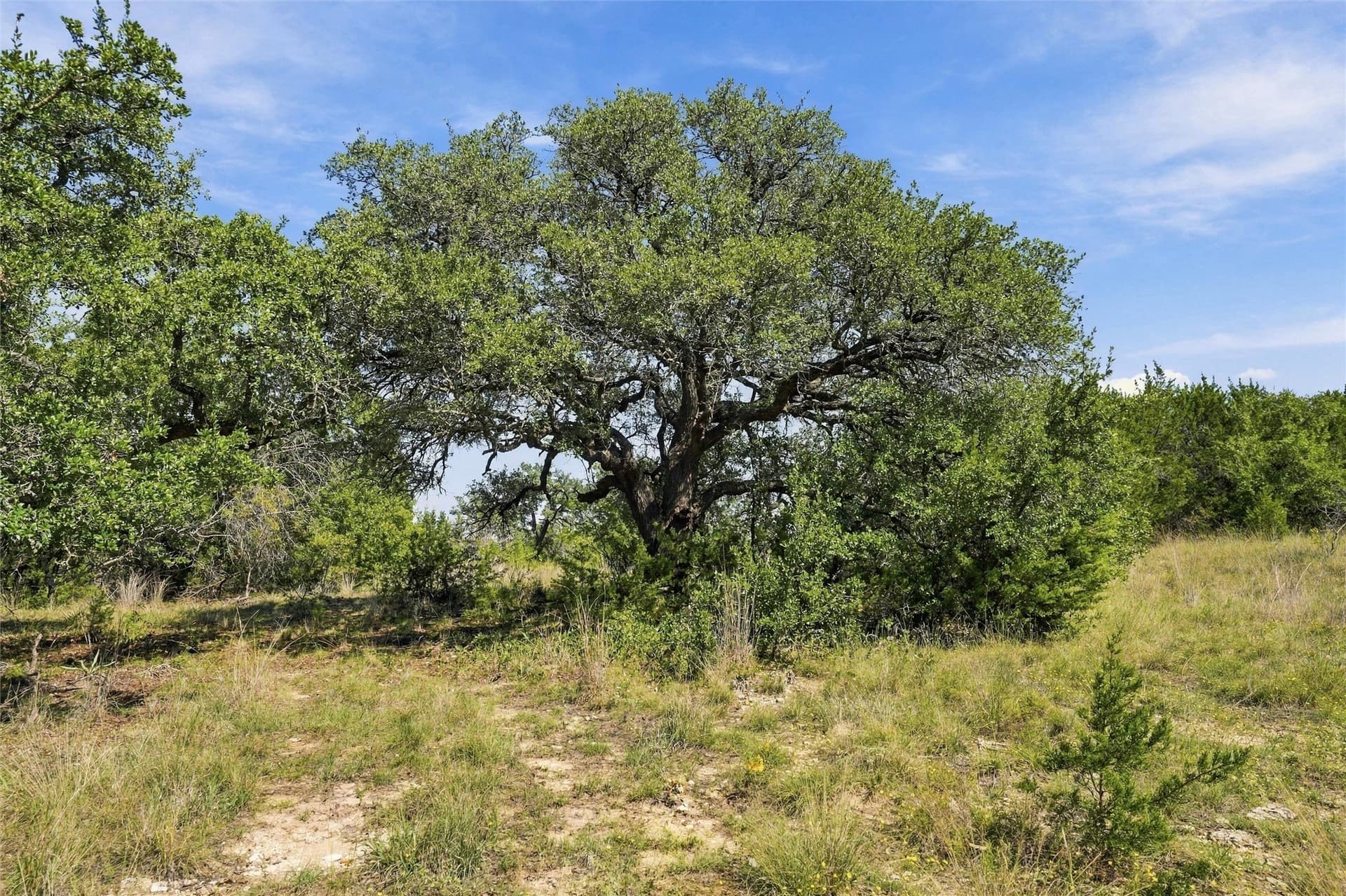 232.86 acres in Hamilton County - photo 26