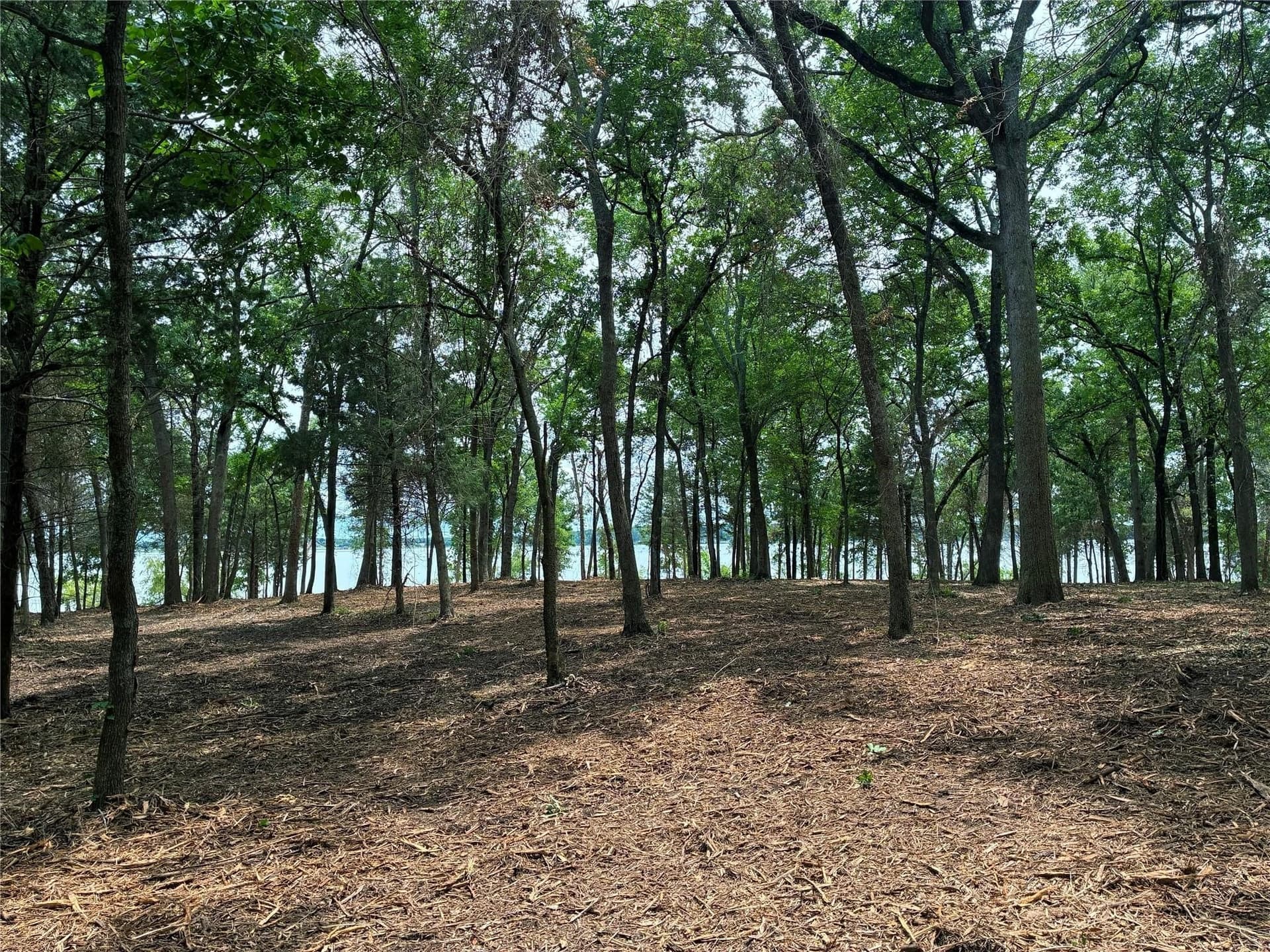 11.43 acres in Hunt County - photo 4