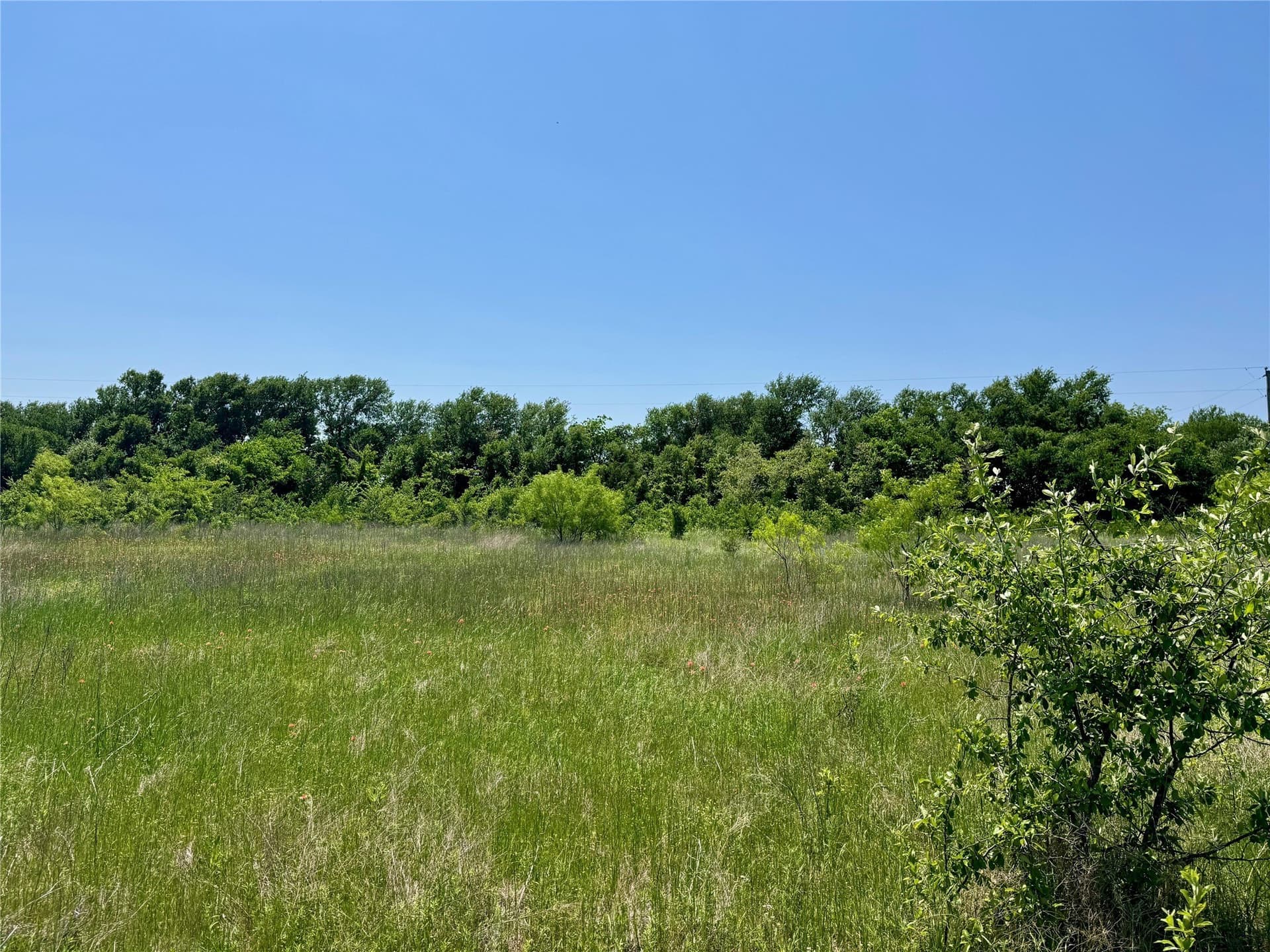 2.82 acres in McLennan County - photo 4