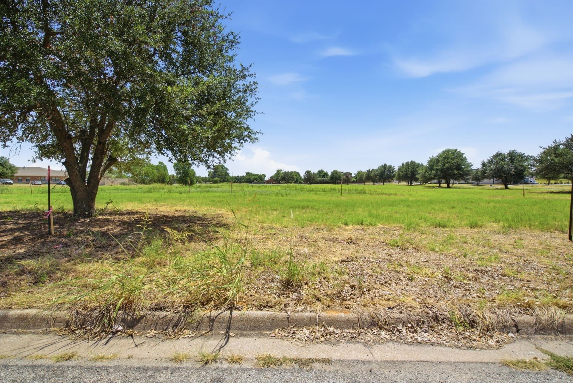 0.09 acres in Erath County - photo 13