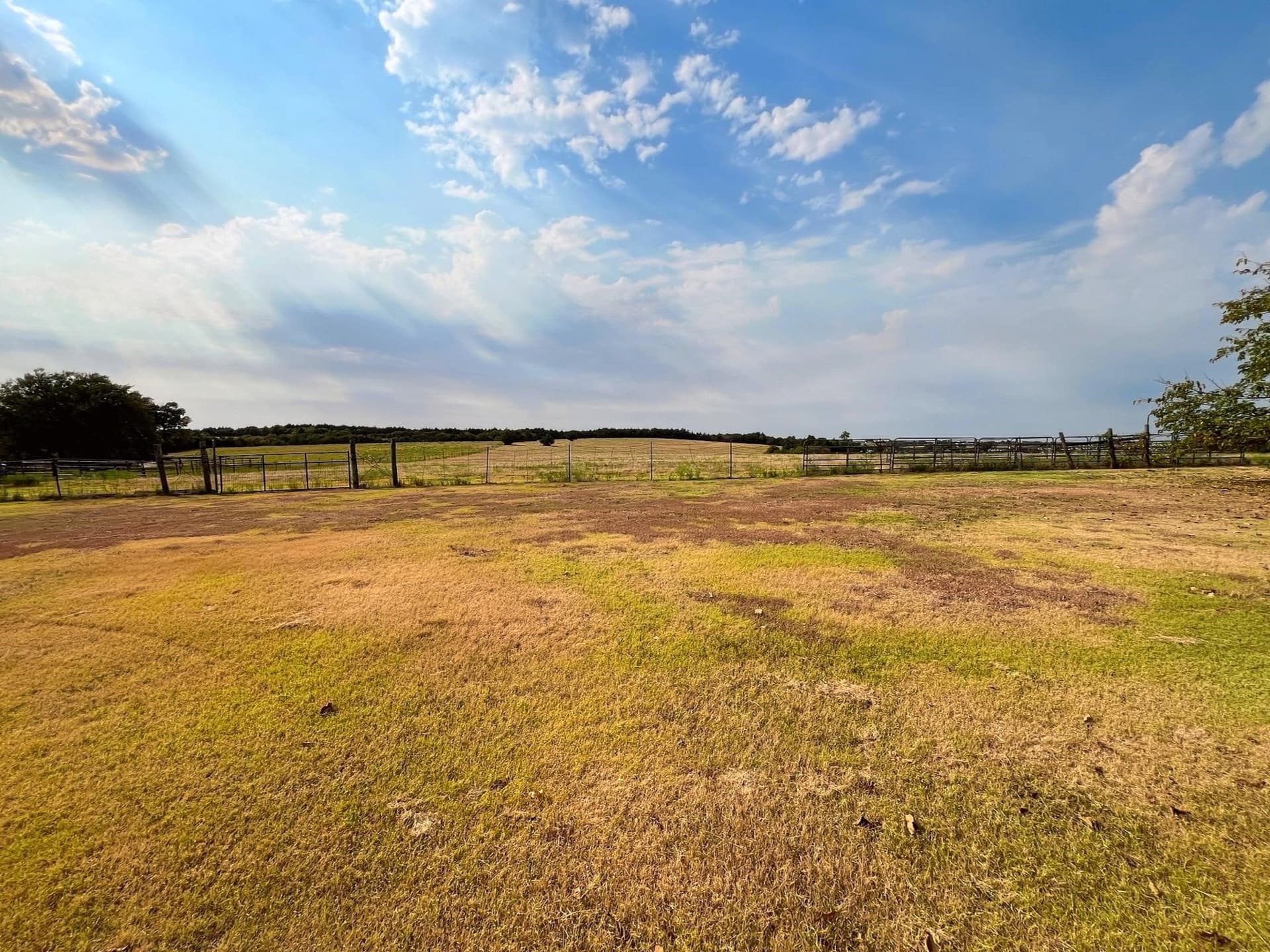 10 acres in Kaufman County - photo 5