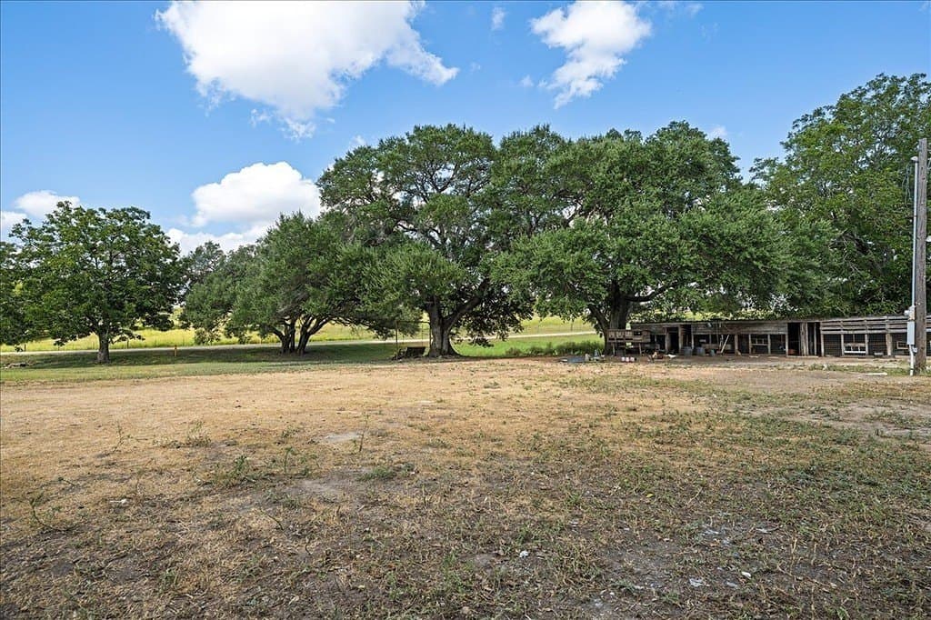 1 acres in Austin County - photo 9
