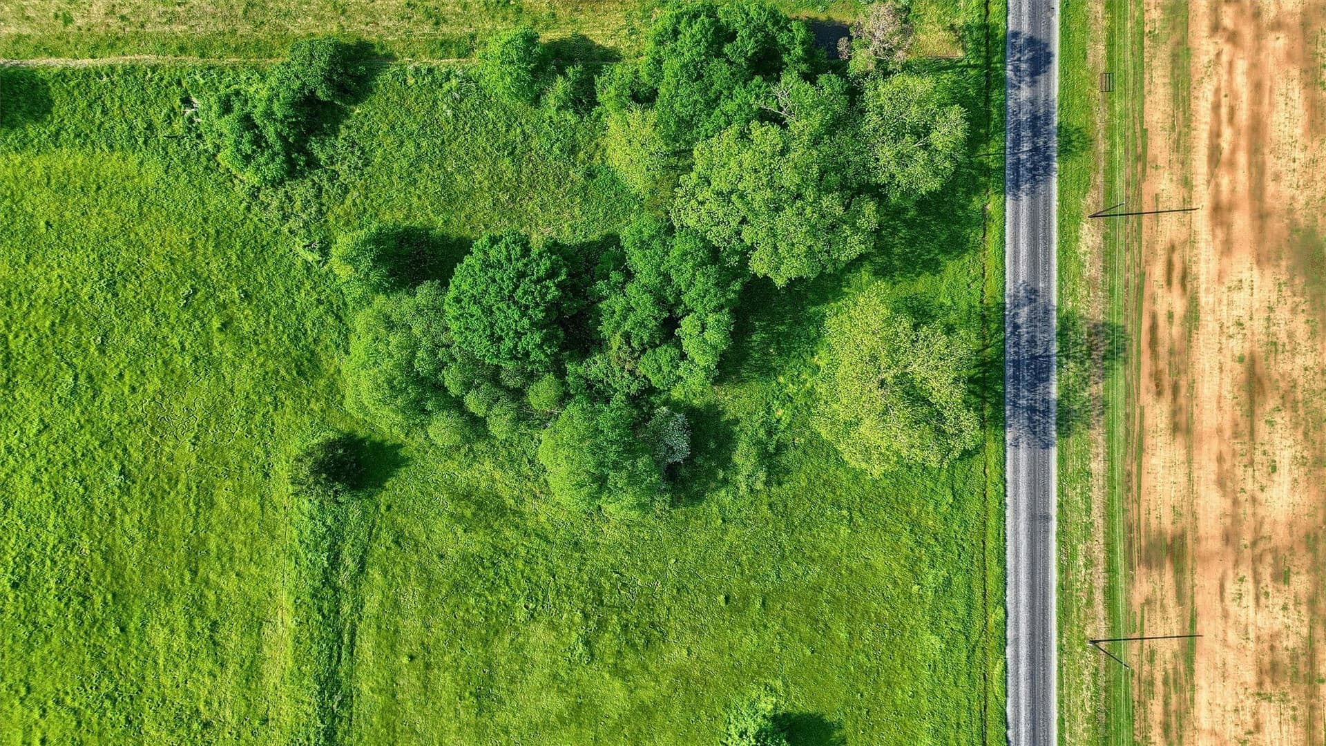 5 acres in Grayson County - photo 11