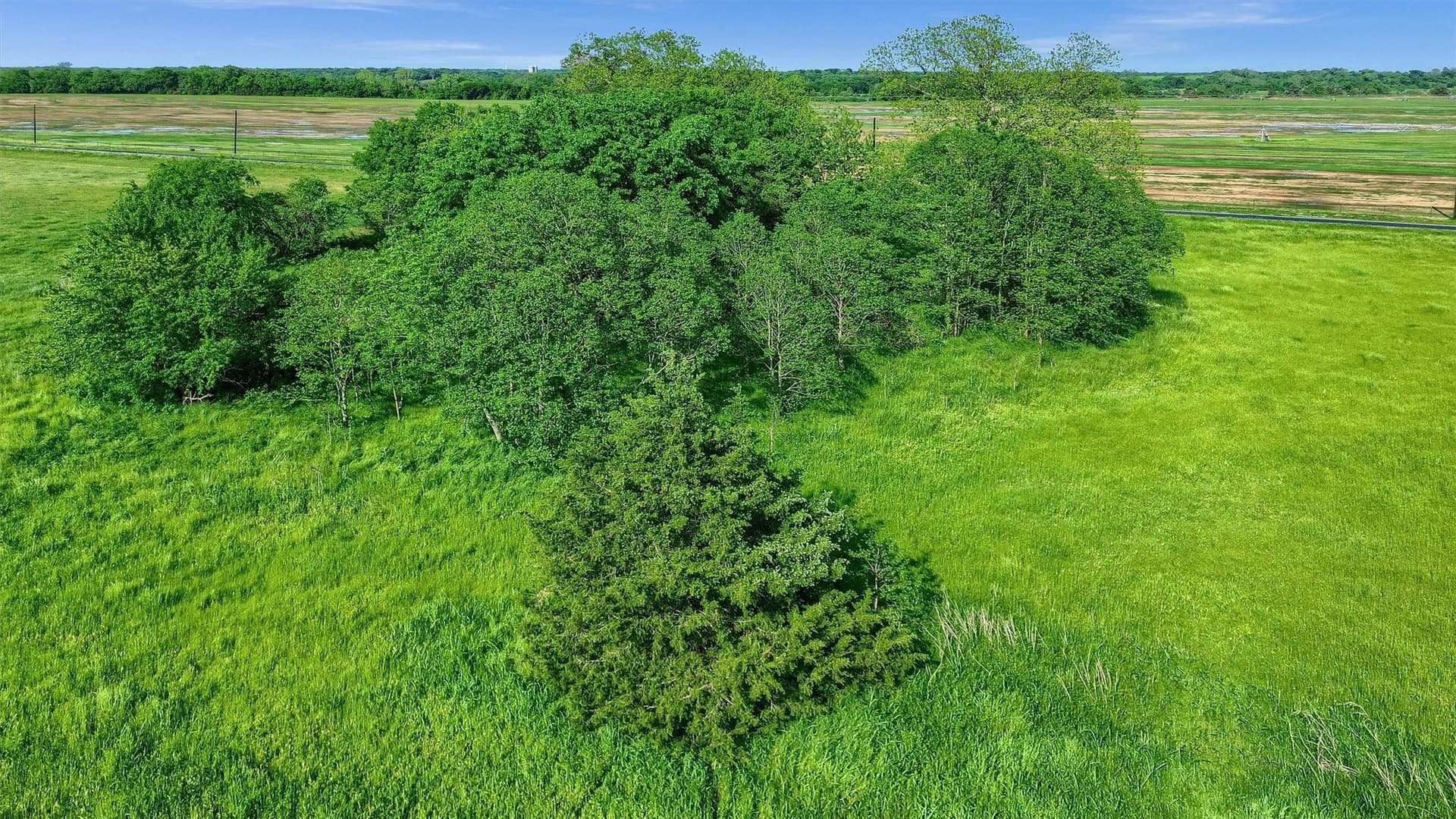 5 acres in Grayson County - photo 13