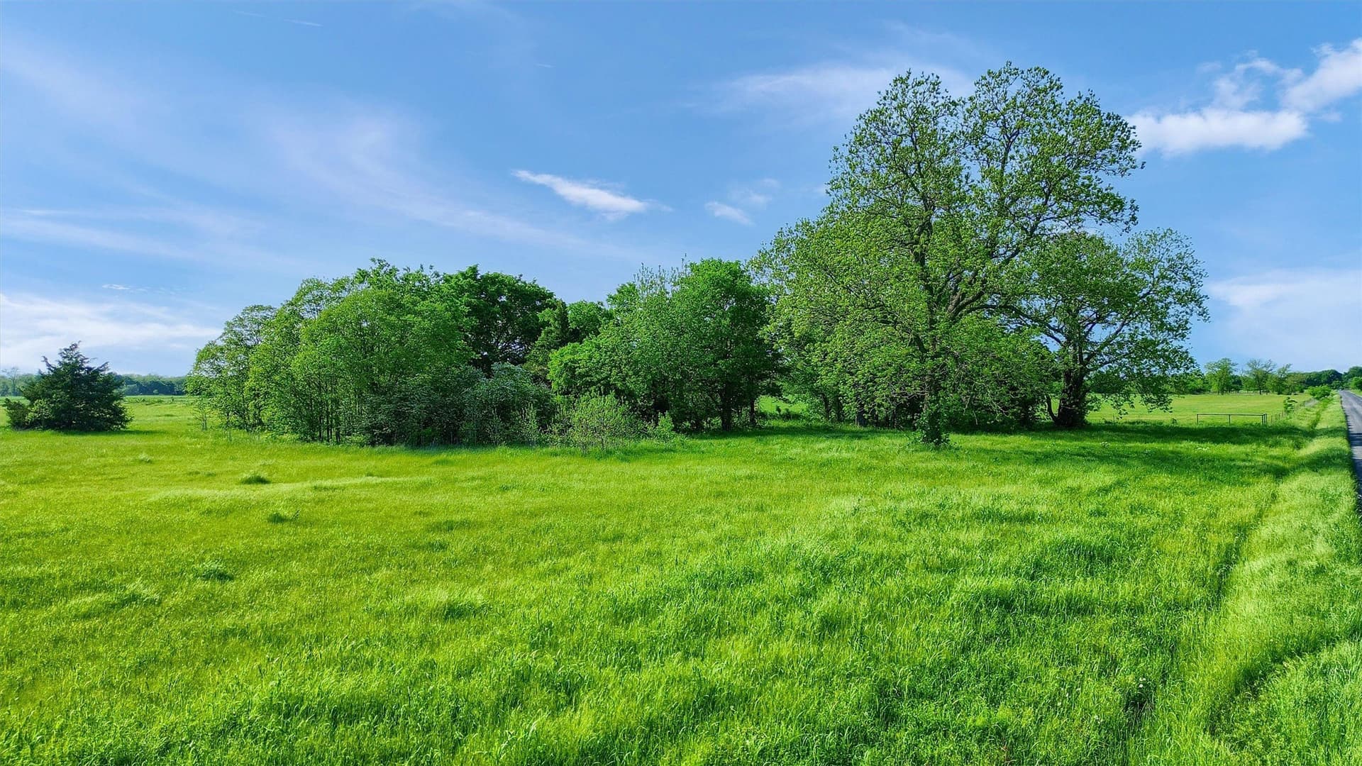5 acres in Grayson County - photo 17