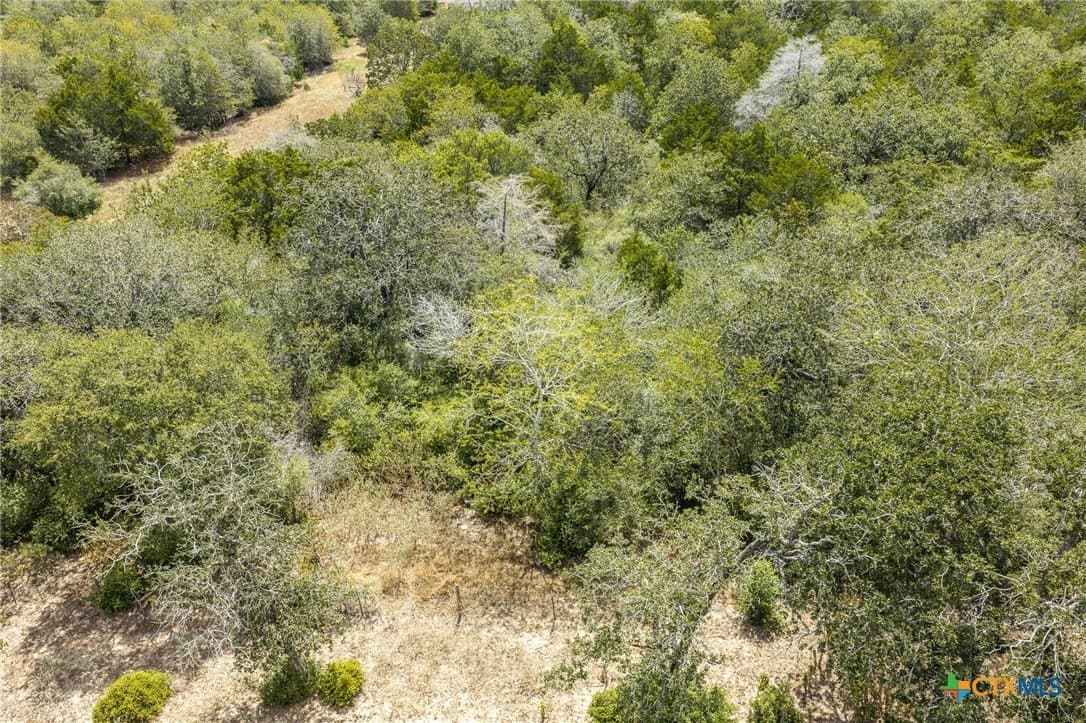 23.14 acres in Caldwell County - photo 30