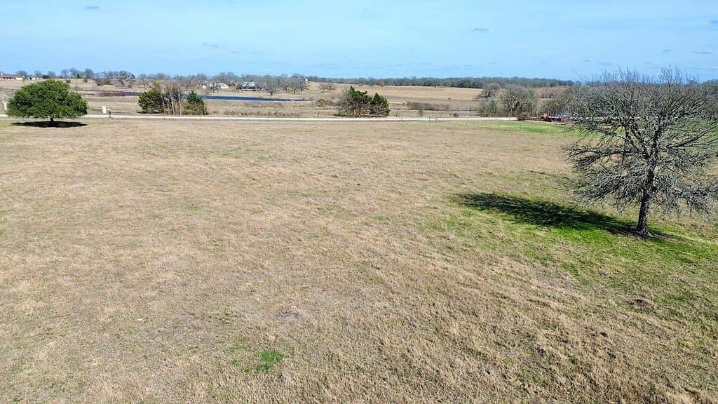 4 acres in Lee County gallery image 4