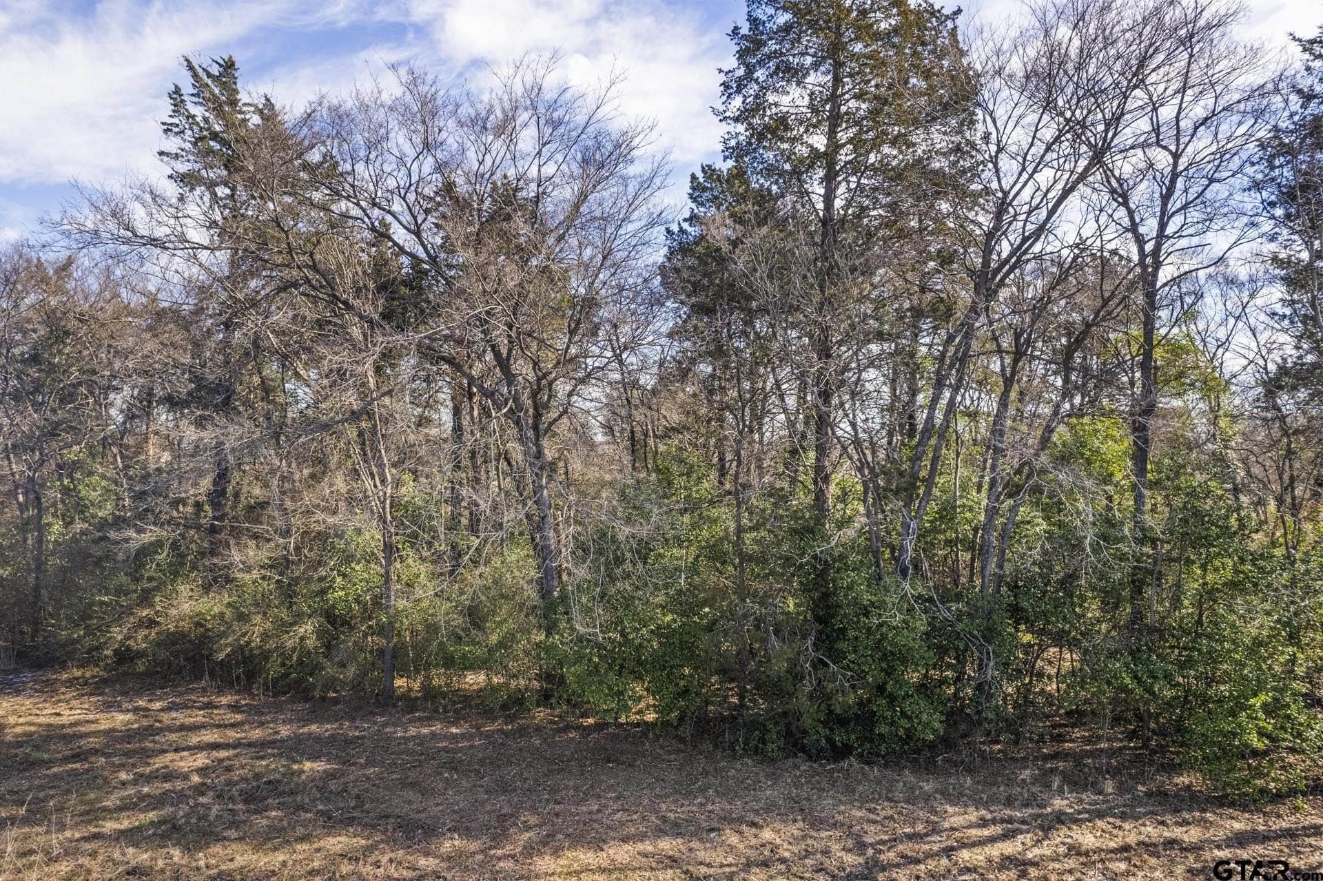 4.73 acres in Titus County - photo 6