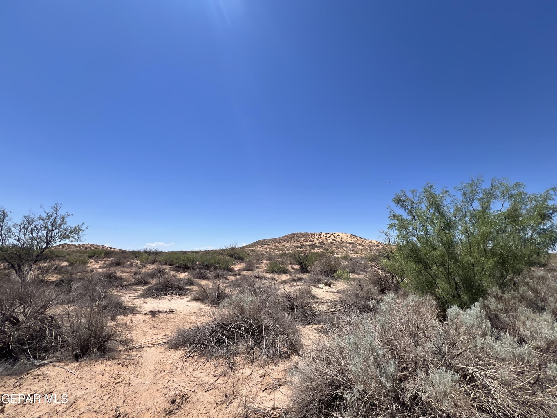 5 acres in El Paso County gallery image 3