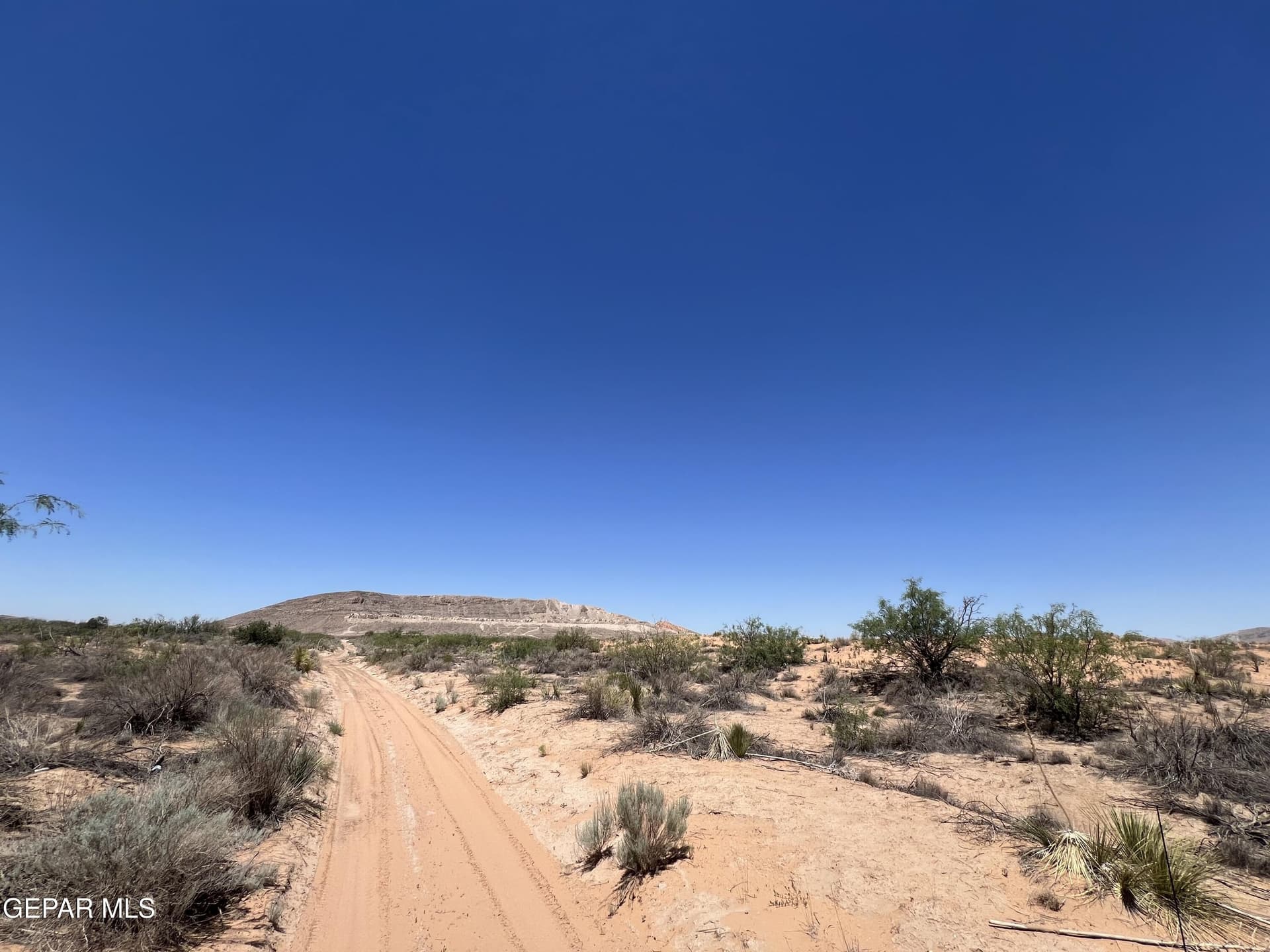 5 acres in El Paso County gallery image 4