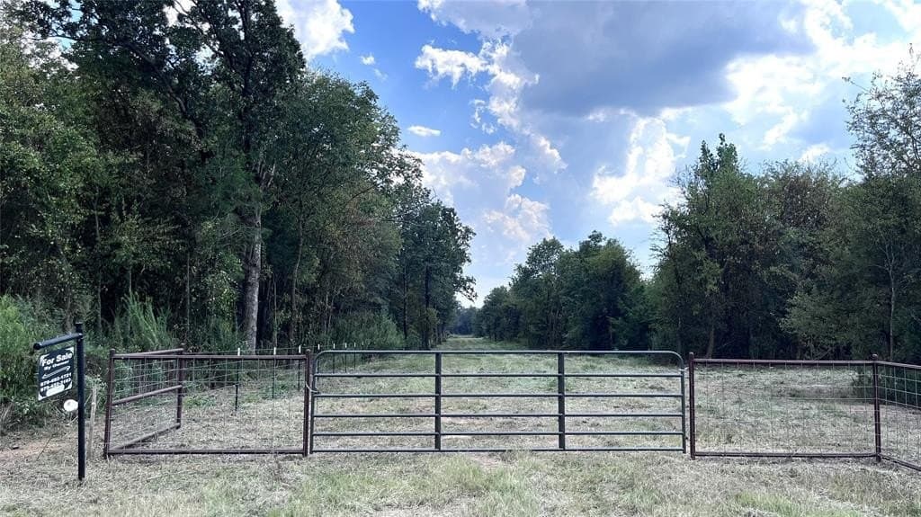 60.53 acres in Hopkins County gallery image 3