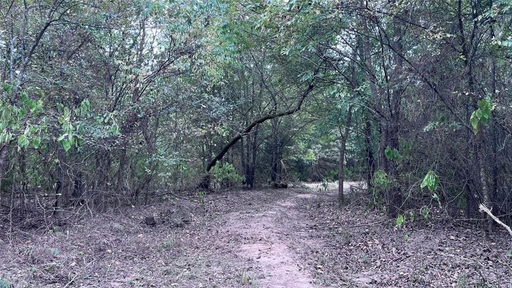 60.53 acres in Hopkins County featured view