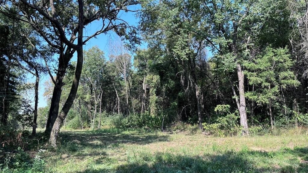 60.53 acres in Hopkins County gallery image 2