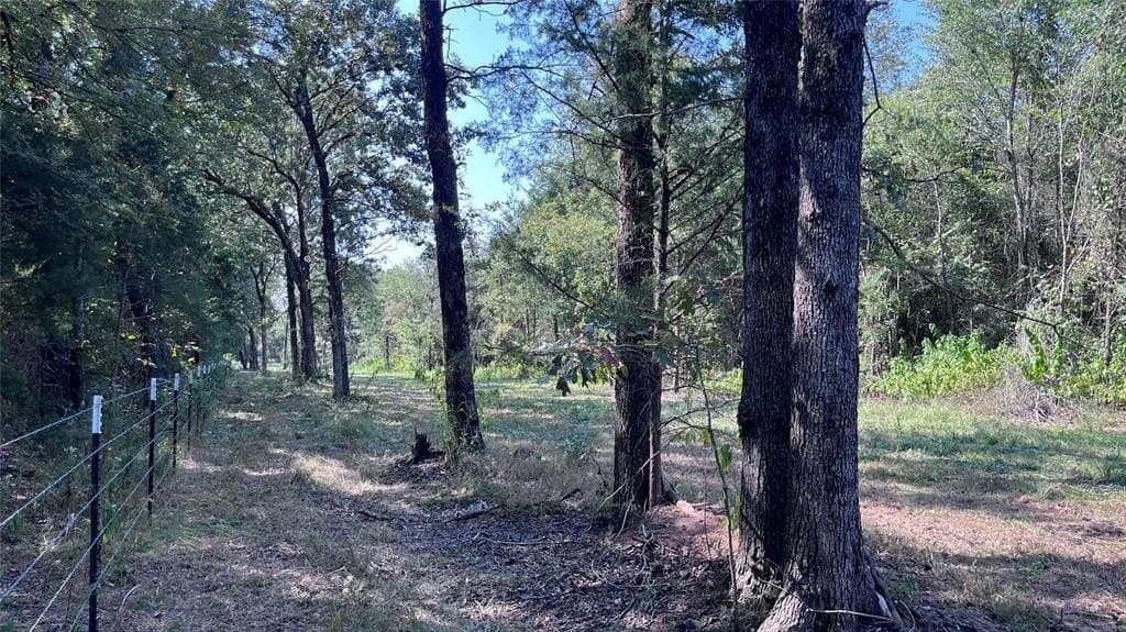 60.53 acres in Hopkins County gallery image 4