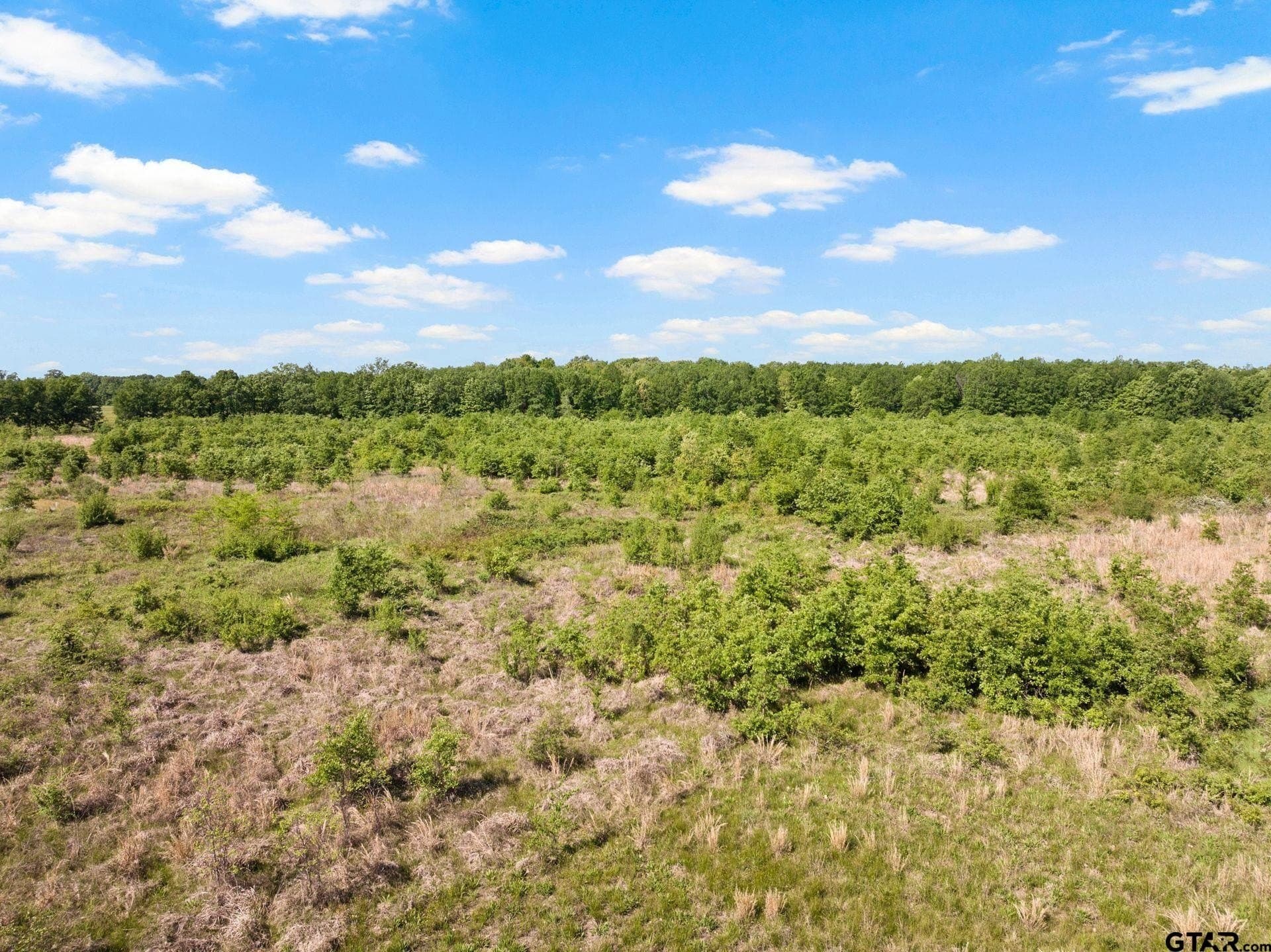 93.48 acres in Franklin County - photo 24