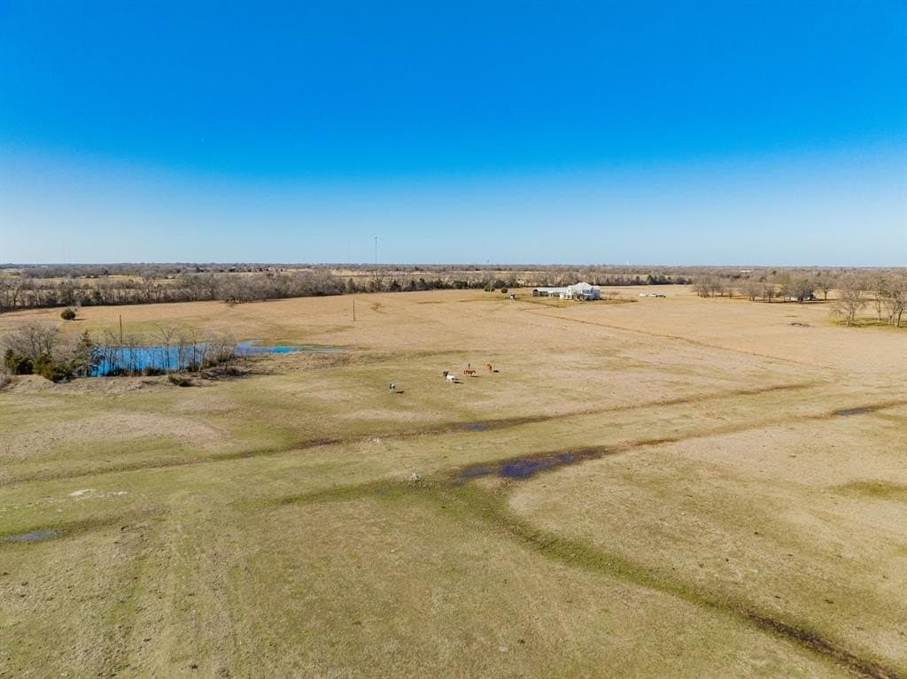 18 acres in Fannin County gallery image 2