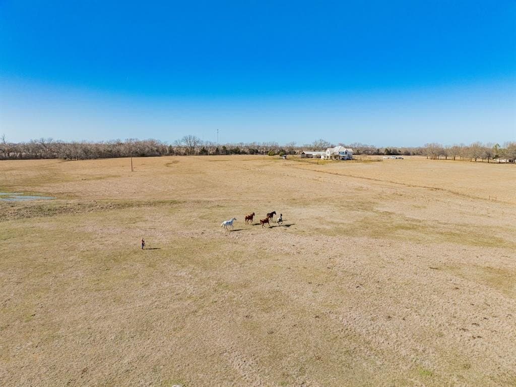 18 acres in Fannin County gallery image 4