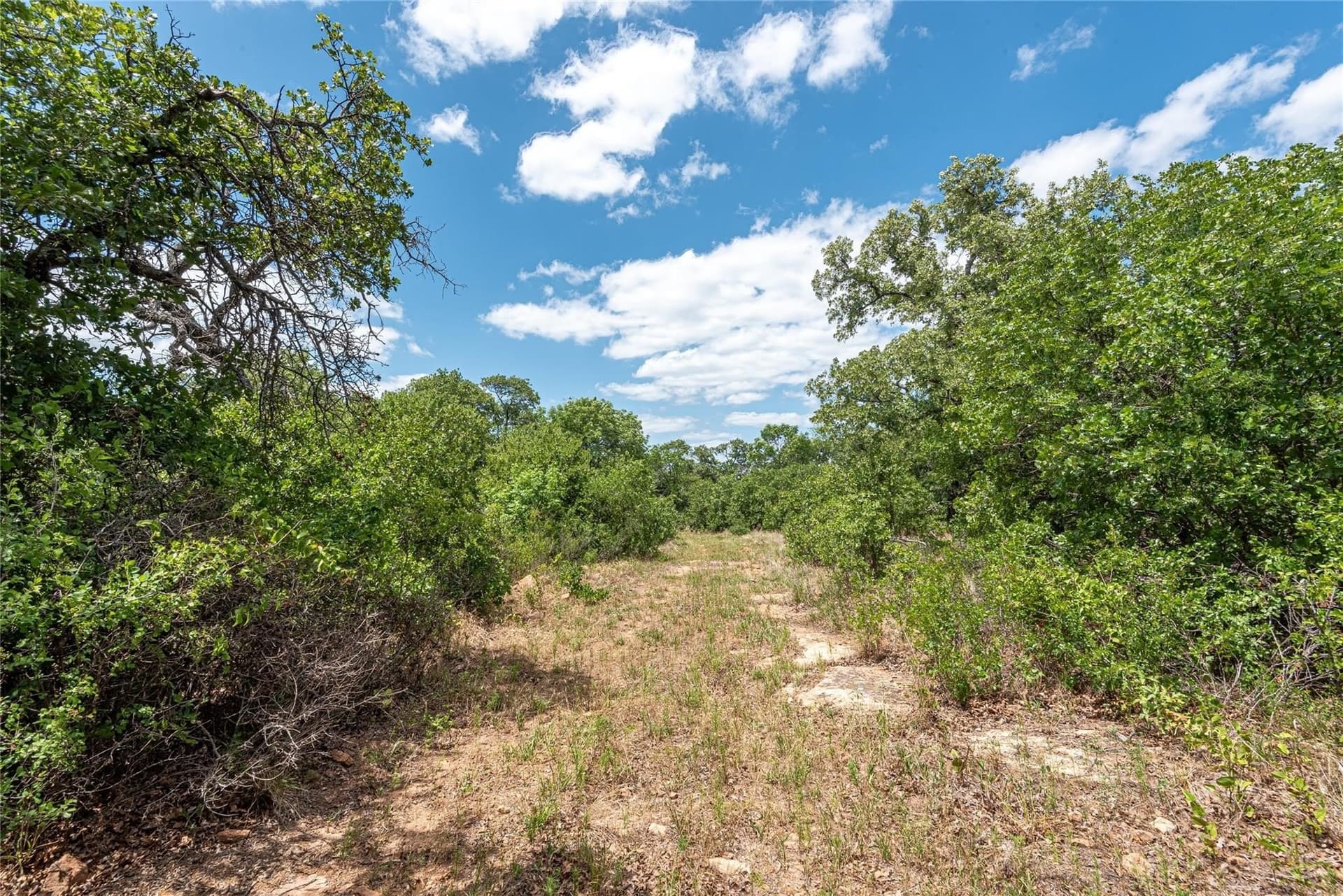 34.32 acres in Palo Pinto County gallery image 3