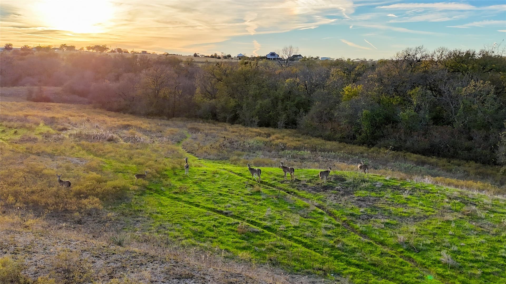 290.42 acres in Denton County - photo 25