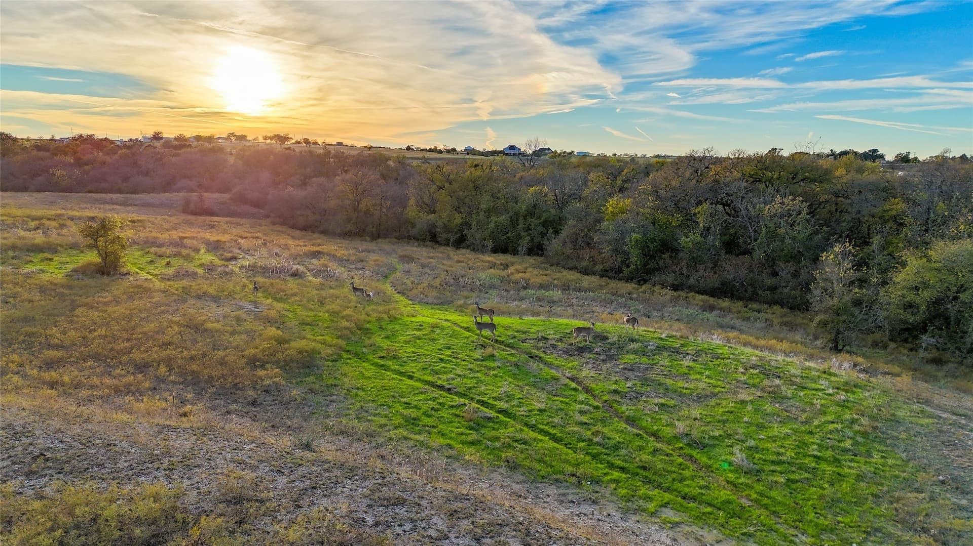 290.42 acres in Denton County - photo 19