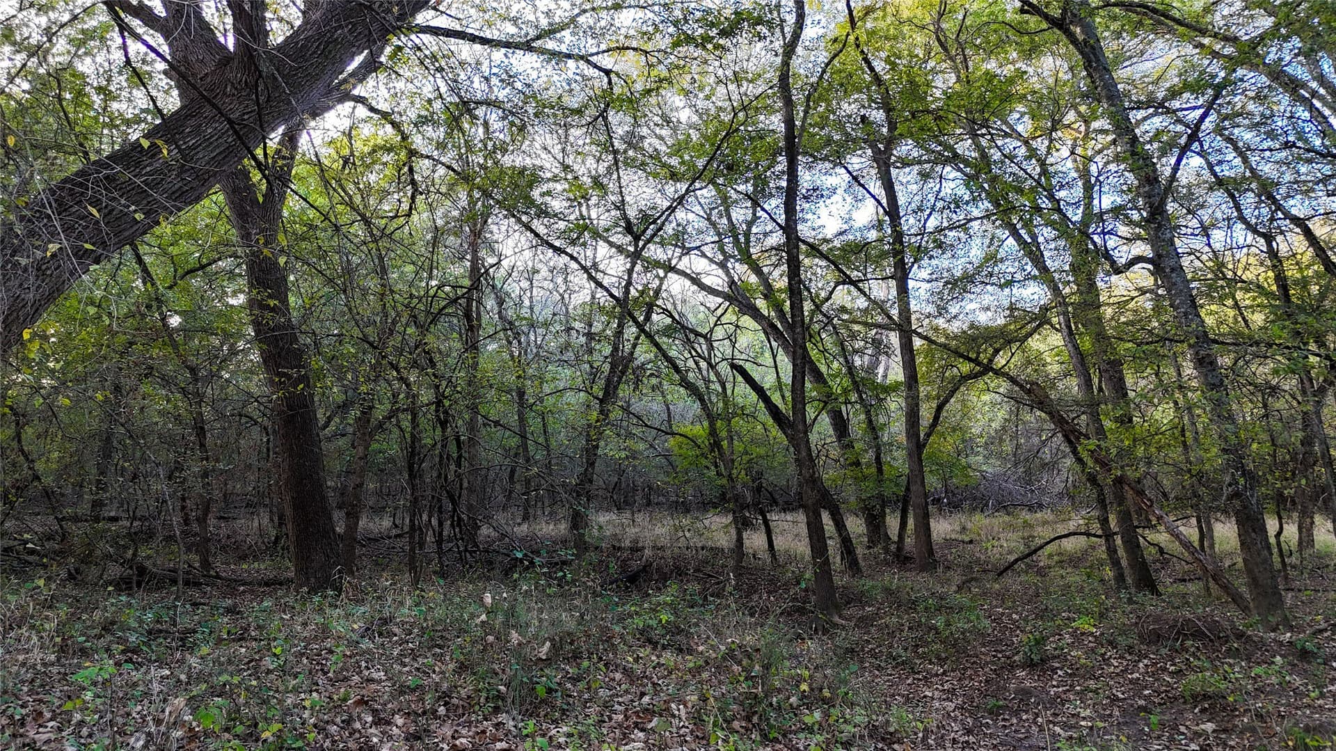 290.42 acres in Denton County - photo 18