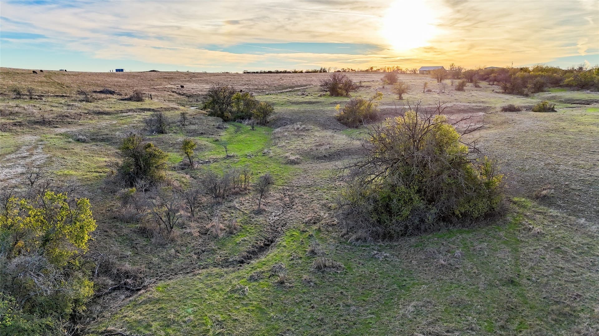 290.42 acres in Denton County - photo 11