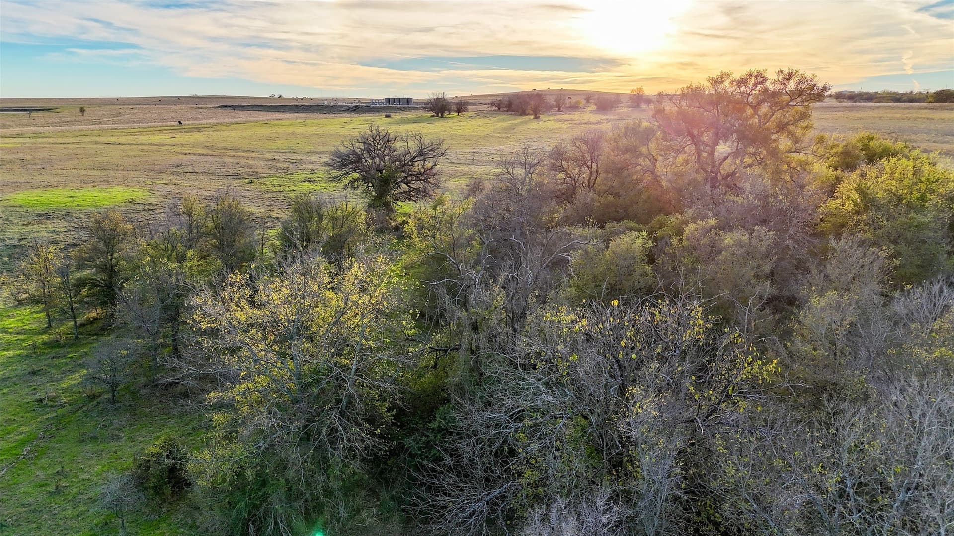290.42 acres in Denton County - photo 24