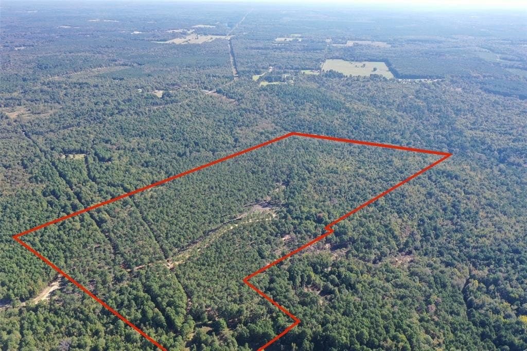 90.43 acres in Cass County gallery image 2