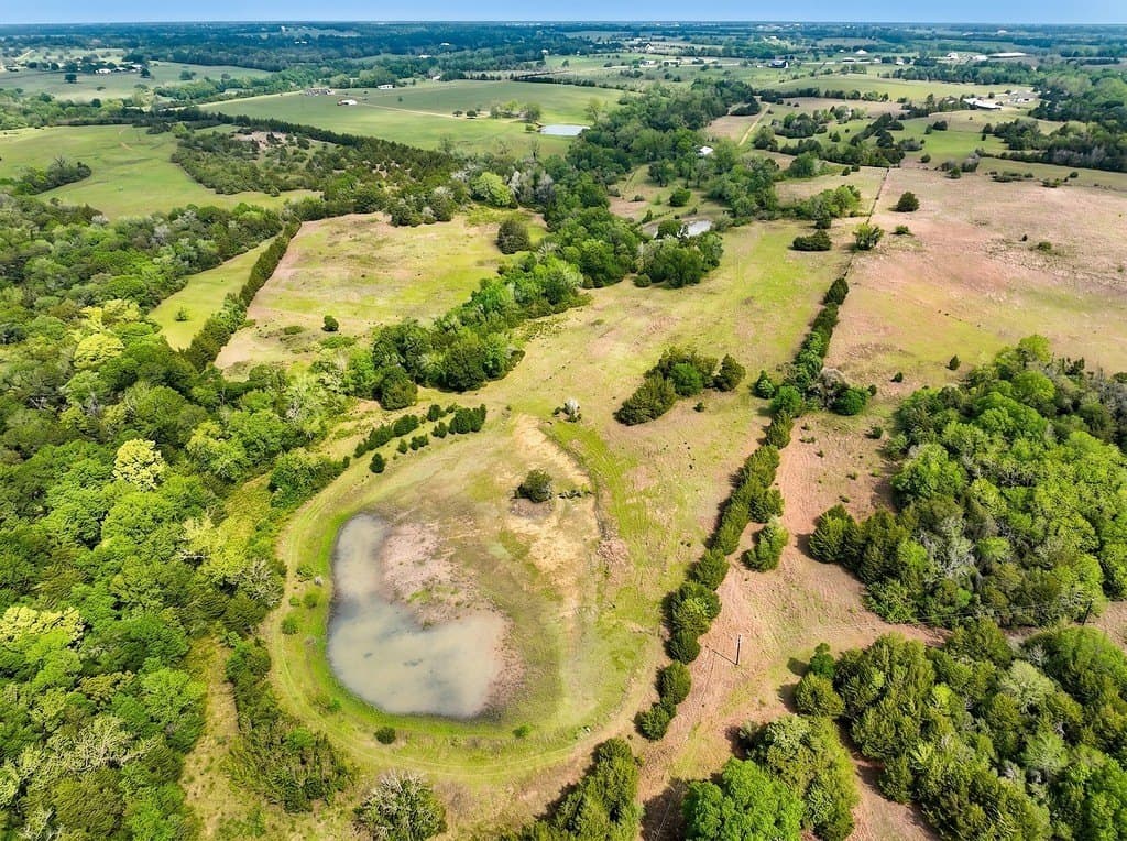 38.07 acres in Austin County gallery image 4