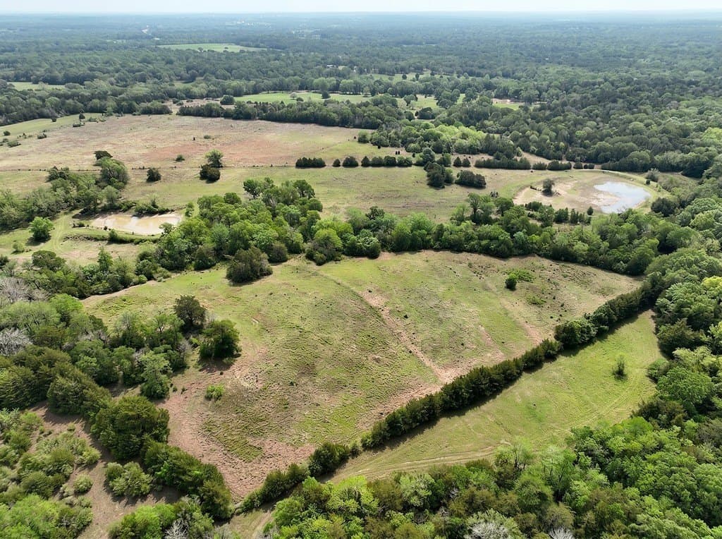 38.07 acres in Austin County gallery image 3
