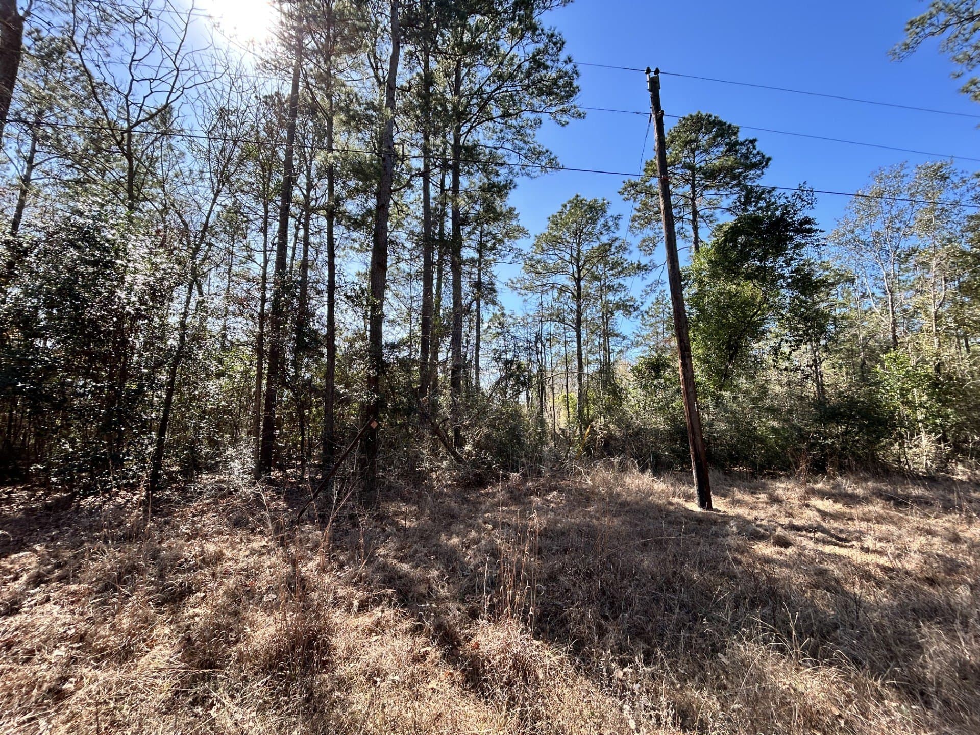 0.17 acres in Tyler County - photo 3