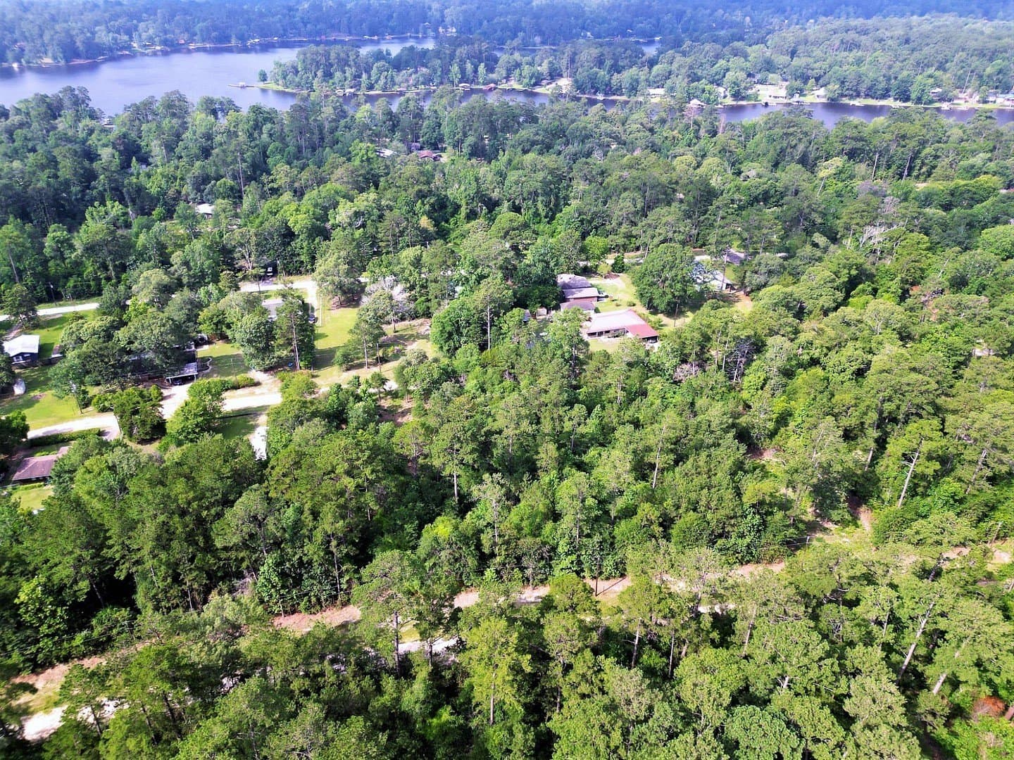 0.17 acres in Tyler County - photo 14