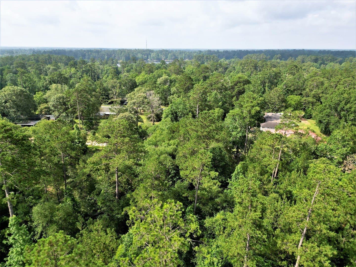 0.17 acres in Tyler County - photo 17