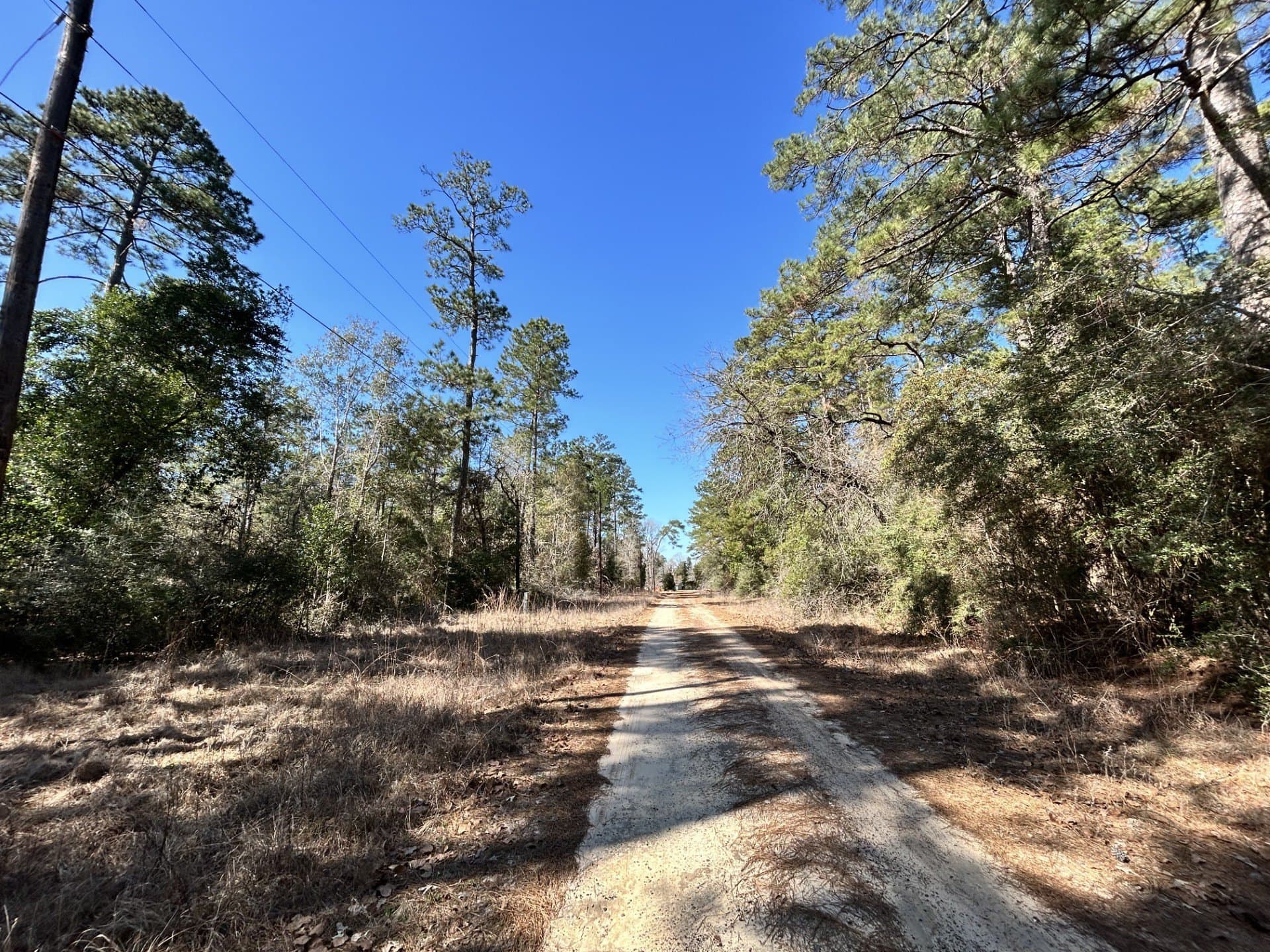 0.17 acres in Tyler County - photo 5
