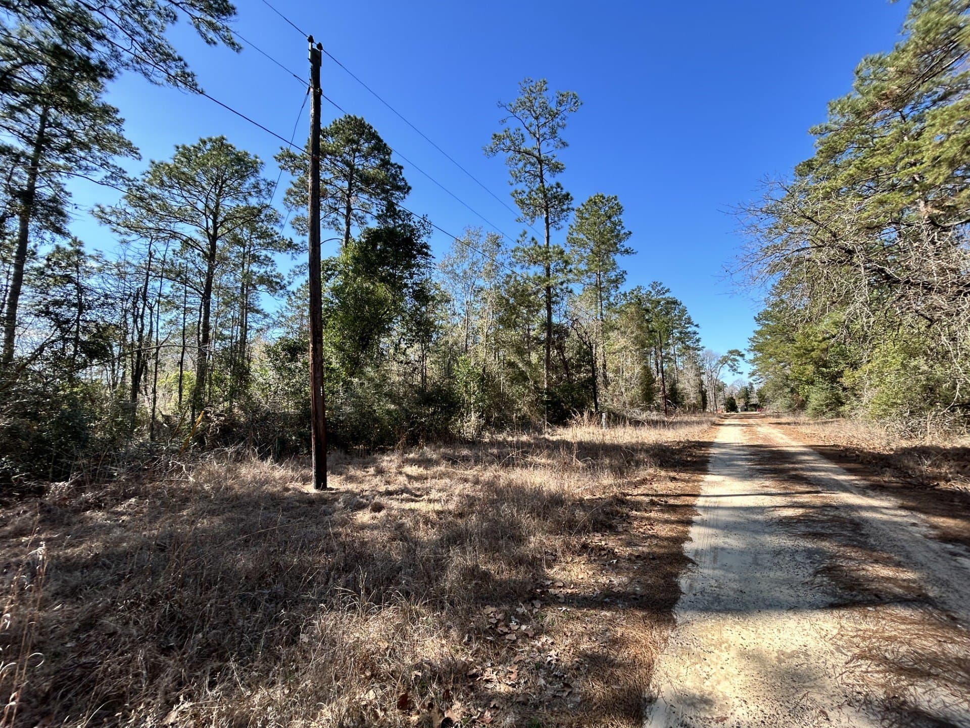 0.17 acres in Tyler County - photo 4