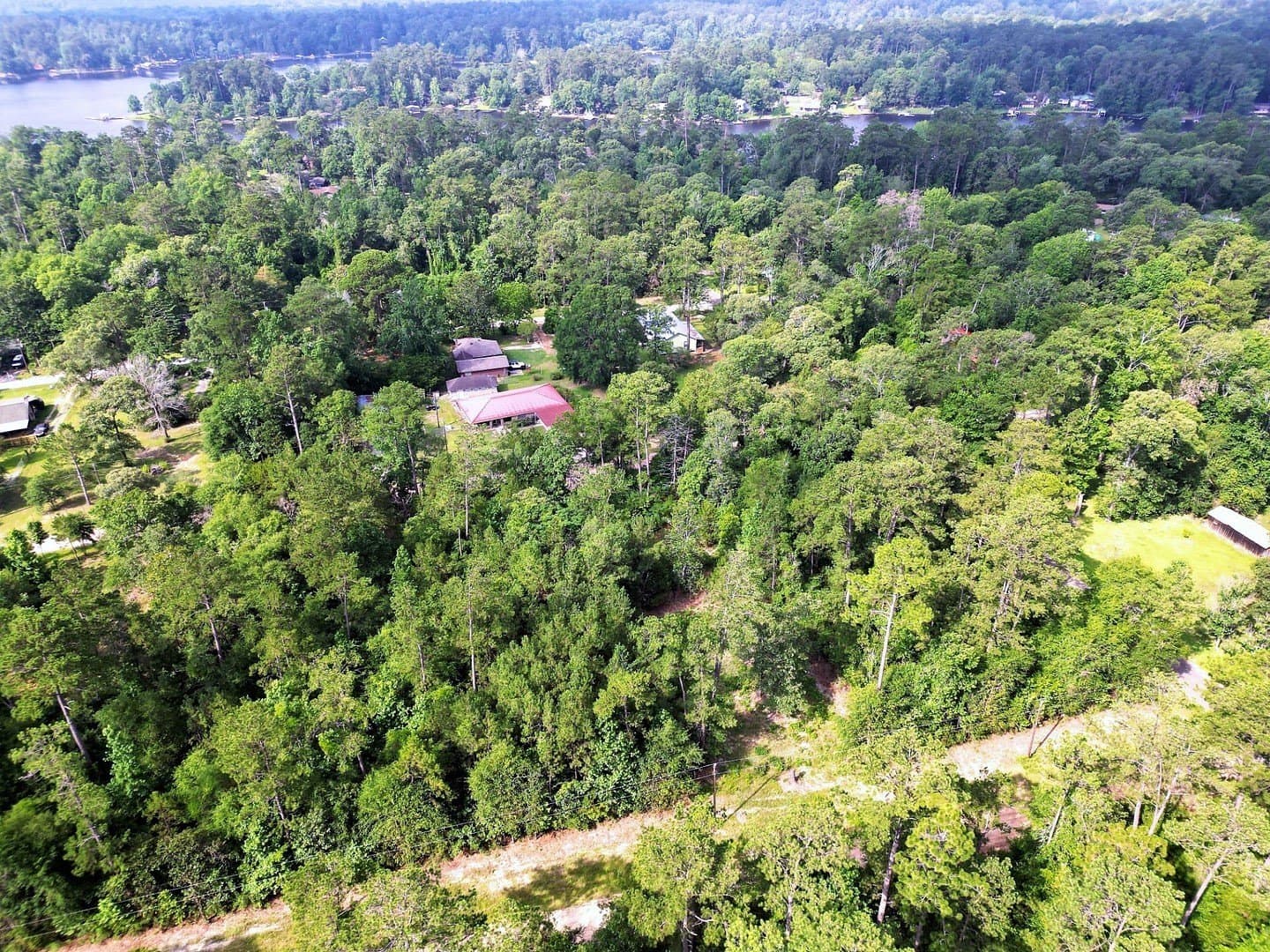 0.17 acres in Tyler County - photo 12