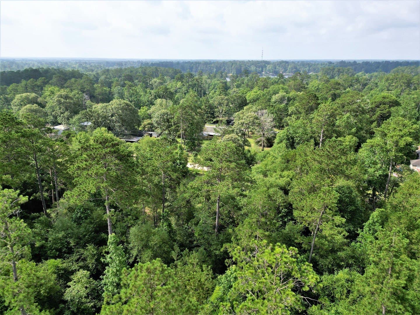 0.17 acres in Tyler County - photo 16