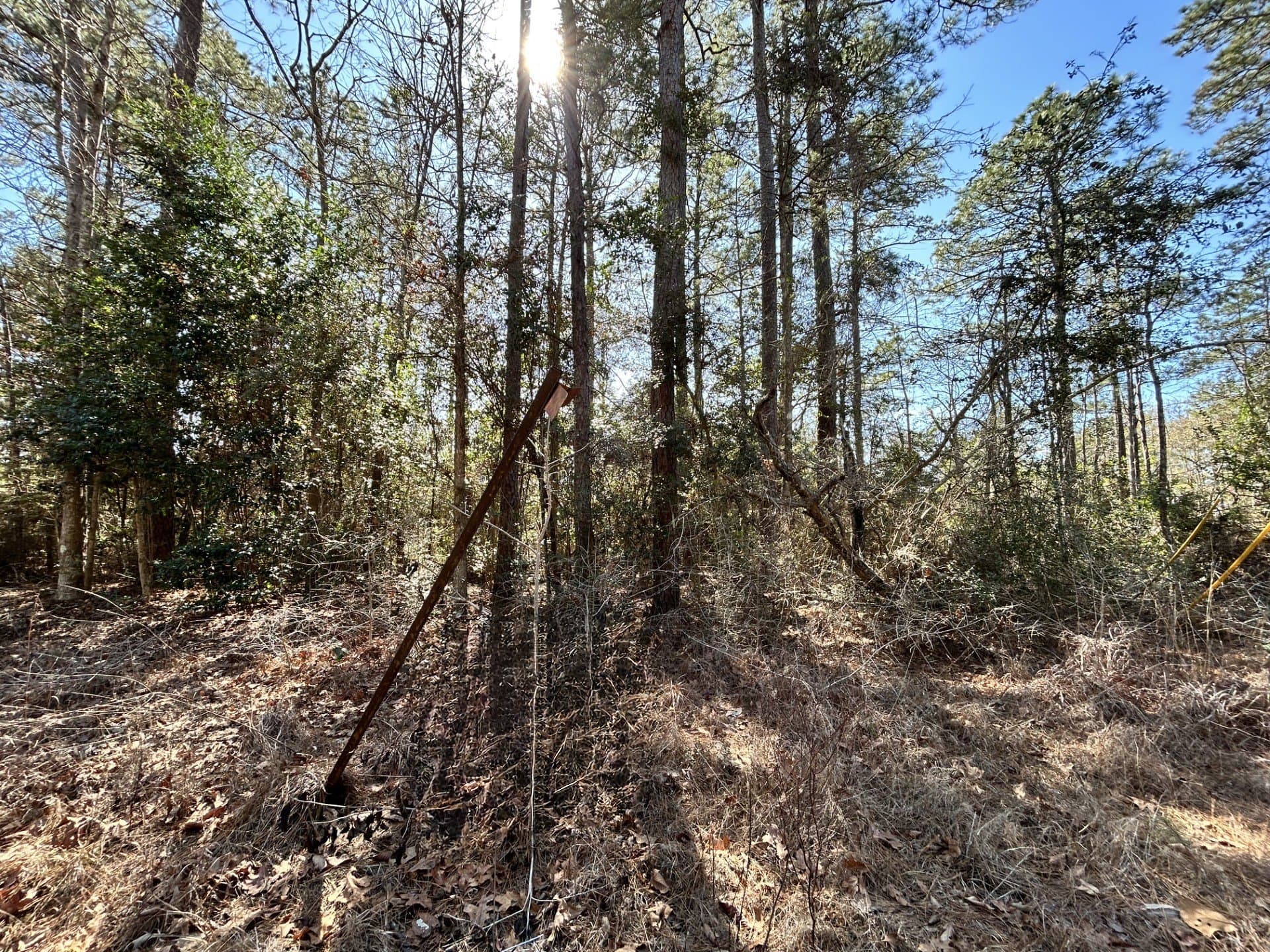 0.17 acres in Tyler County - photo 2