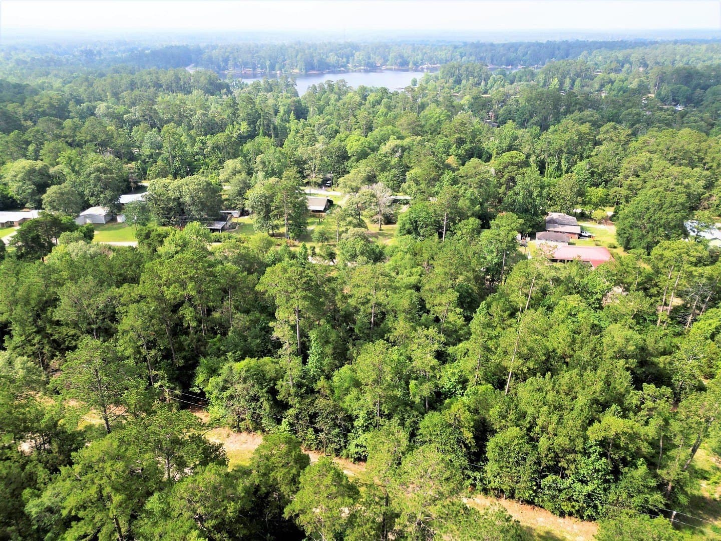 0.17 acres in Tyler County - photo 10