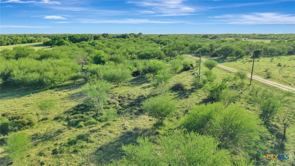 68 acres in Victoria County - photo 18