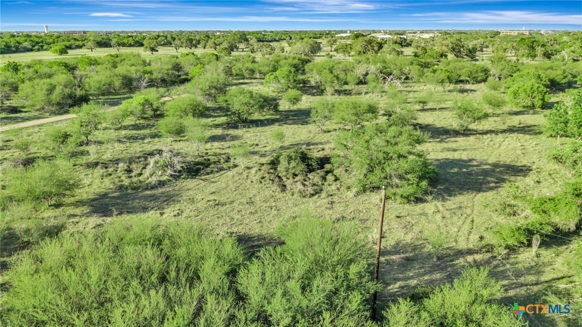 68 acres in Victoria County - photo 12