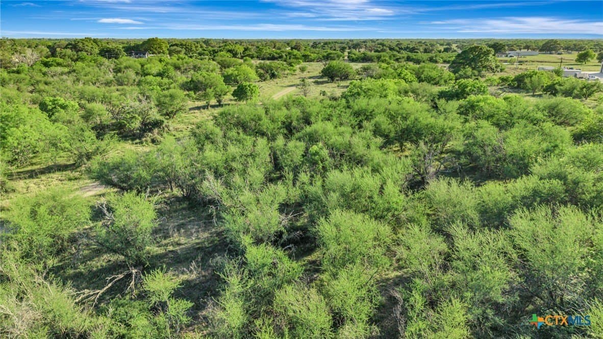 68 acres in Victoria County - photo 26